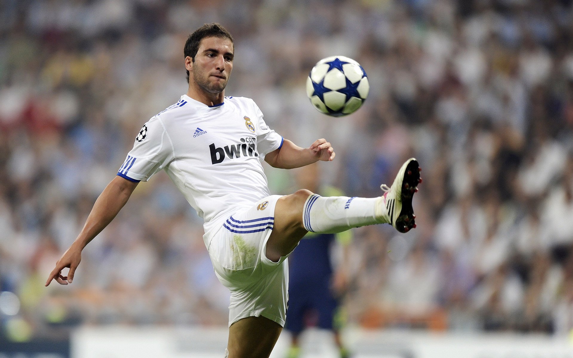 开云体育世界杯-独行侠逆转活塞,哈利伯顿如何用一记三分改写关键先生的定义 第2张 开云体育世界杯-独行侠逆转活塞,哈利伯顿如何用一记三分改写关键先生的定义 第2张